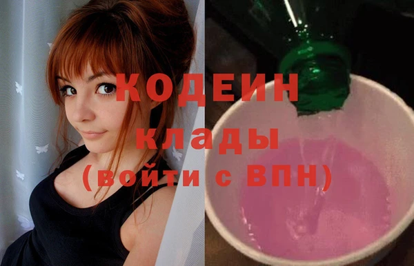 эйфоретик Алзамай