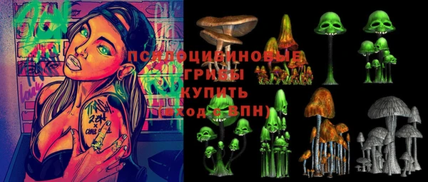 эйфоретик Алзамай