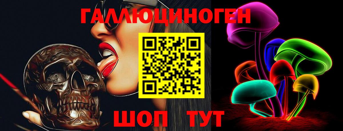 Галлюциногенные грибы GOLDEN TEACHER  Вход с VPN  Лениногорск  Псилоцибиновые грибы GOLDEN TEACHER 